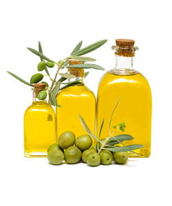 Olive Oil Supplier